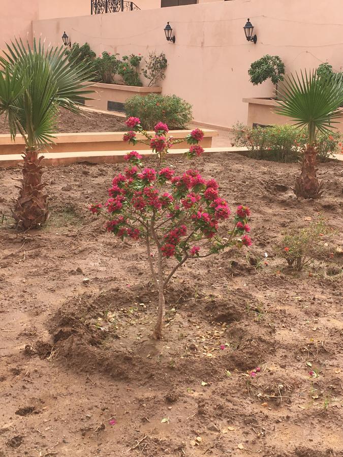 Appartement Elias Marrakech 马拉喀什 外观 照片